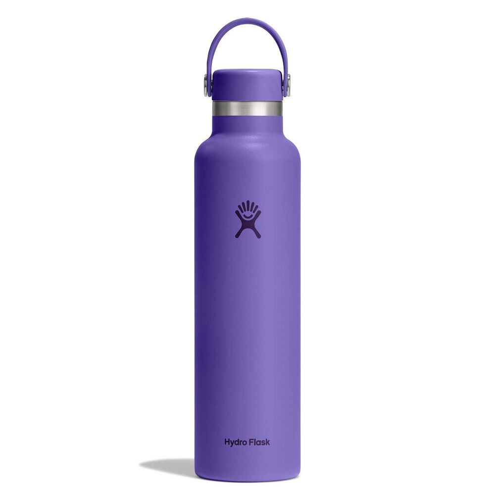 Purple Hydro Flask water bottle with matte finish, stainless steel band, matching cap with flexible carry handle, and Hydro Flask logo. Sleek cylindrical design.